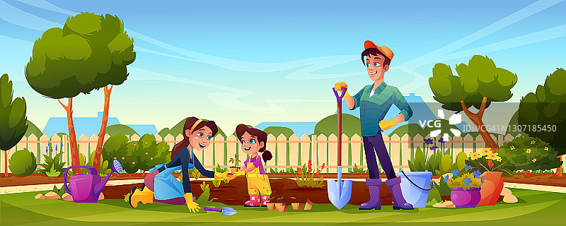 家庭在后院种花，母亲，父亲和女儿。矢量卡通人物以花园、花坛、木篱笆、绿树和灌木、房屋为背景。园艺工具图片素材