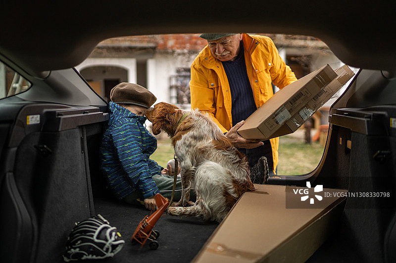 男孩和他的狗坐在汽车后备箱里，而祖父从后备箱里拣箱子图片素材