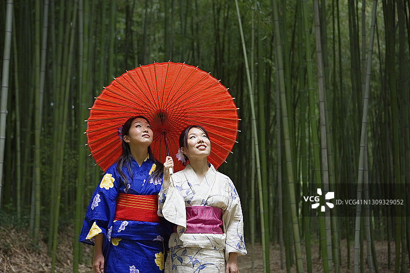 在竹林里，穿着和服打着阳伞的美丽年轻日本妇女图片素材