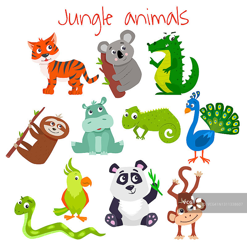 一套卡通可爱的丛林动物。矢量平面插图。图片素材