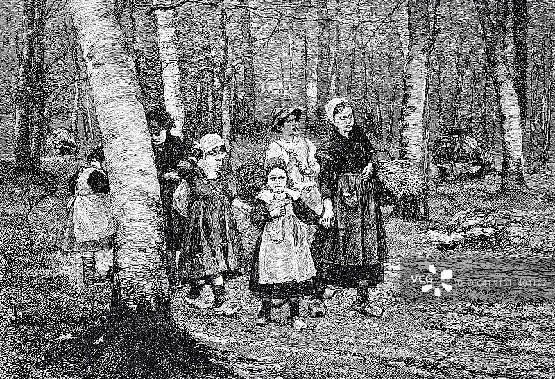 孩子们和妈妈们提着篮子在森林里散步图片素材