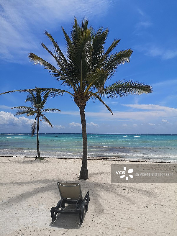 热带海滩上棕榈树下的日光浴床图片素材