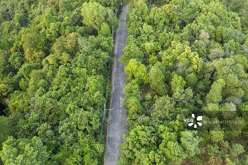 鸟瞰图道路穿过森林在弯道下山图片素材