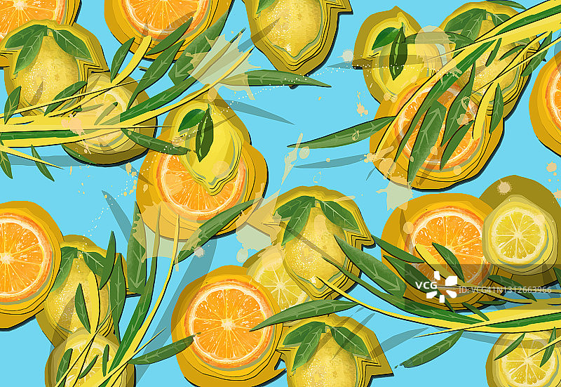 柑橘类水果的组成图片素材