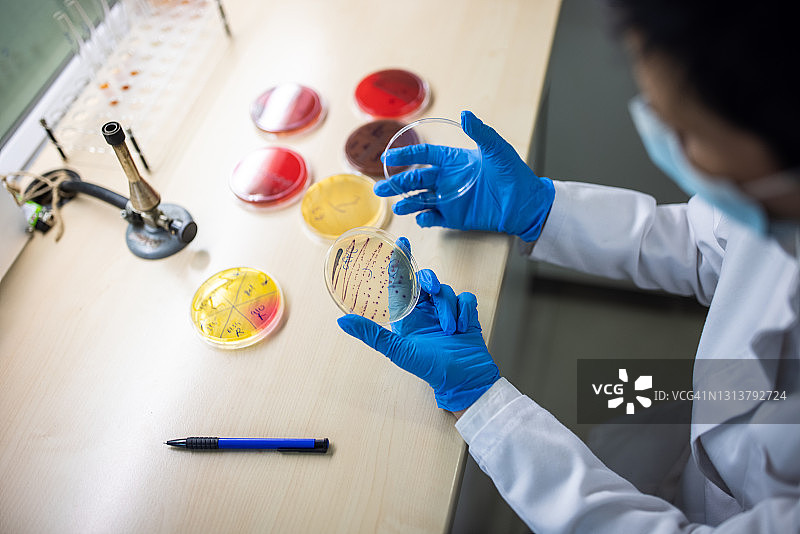 微生物学家在实验室拿着培养皿和细菌培养物图片素材