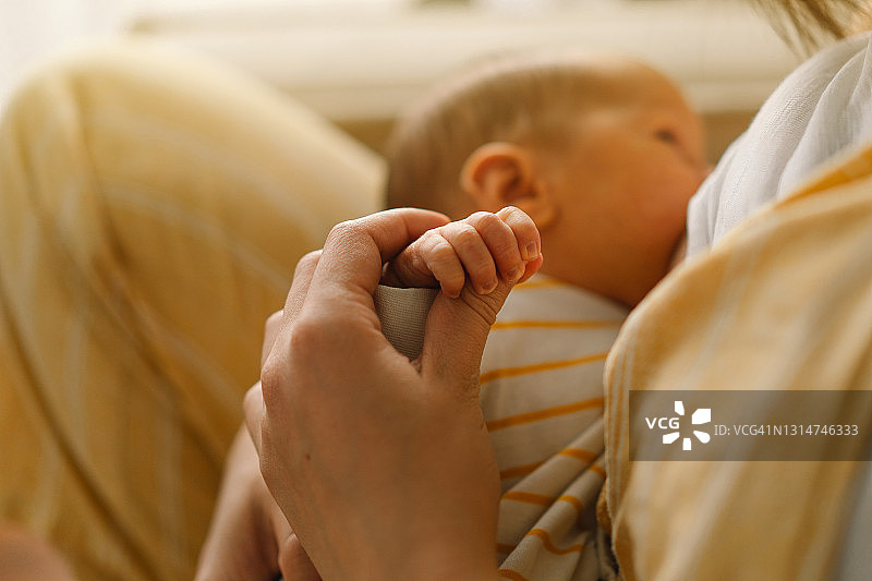 刚出生的男婴正在吮吸母亲的乳汁。母亲和哺乳婴儿的肖像。图片素材
