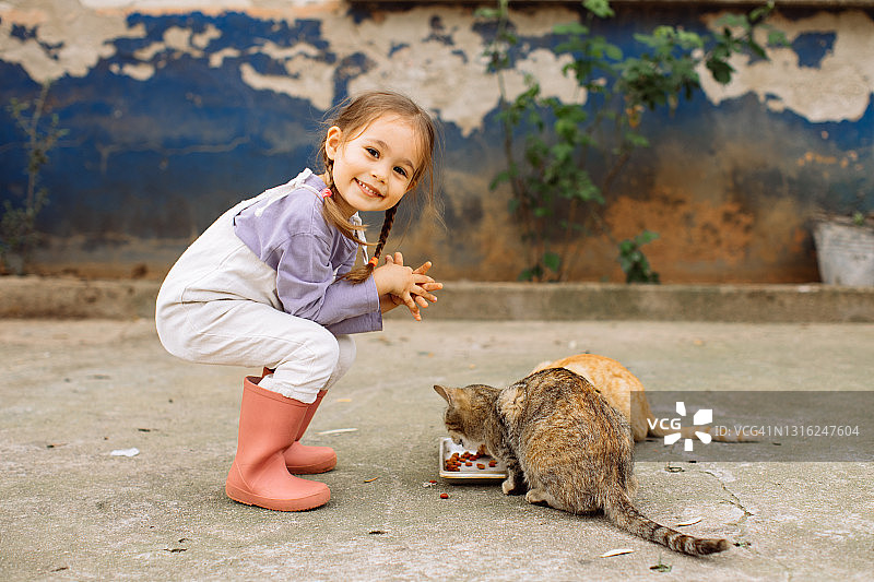 孩子在后院和猫玩。孩子和宠物。图片素材