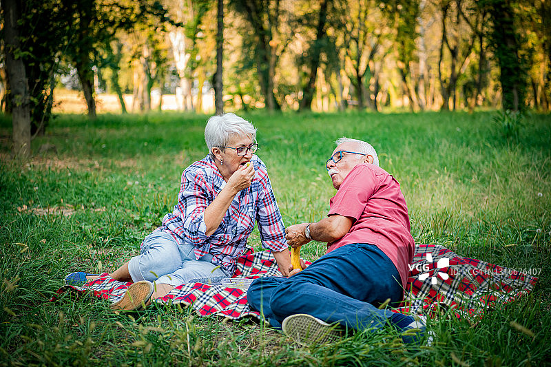 一对老年夫妇在大自然中野餐图片素材