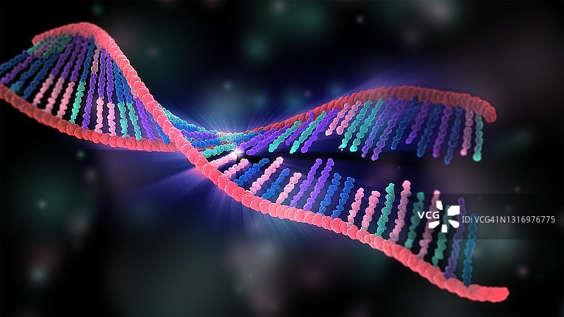 DNA结合过程，说明图片素材
