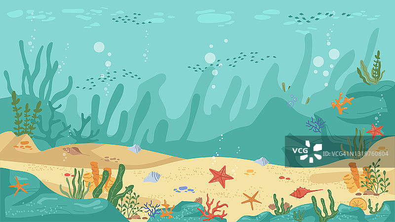 水下世界海底，海藻和珊瑚礁，海星和鱼类，平面卡通背景。矢量水族馆与海底，海洋野生动物风景，气泡。海草和海底植物图片素材