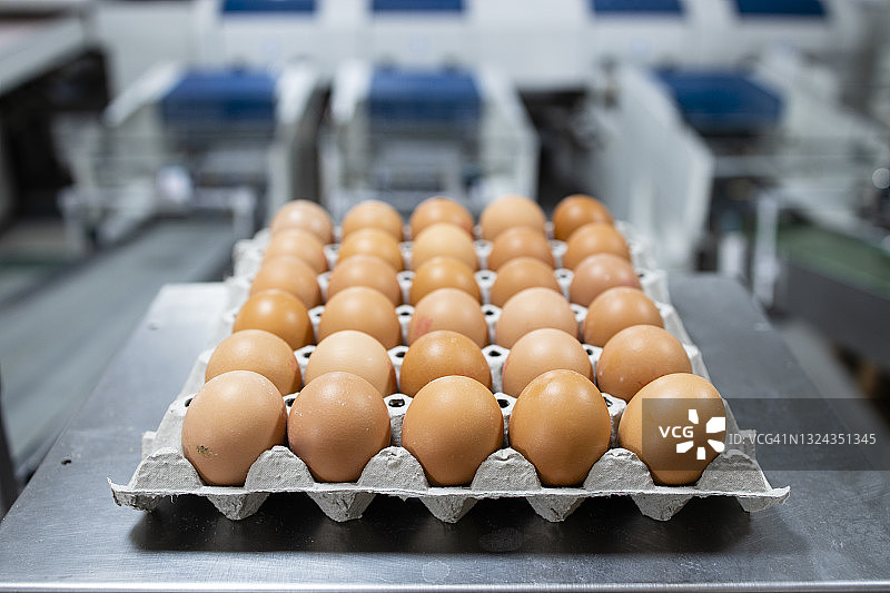 鸡蛋农场和有机食品的工业包装。图片素材