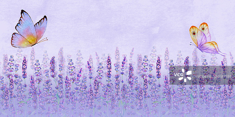 草甸淡紫色水平背景与五颜六色的蝴蝶。图片素材