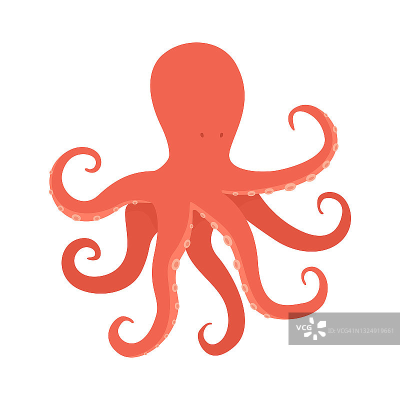 矢量插图章鱼孤立在白色背景。图片素材