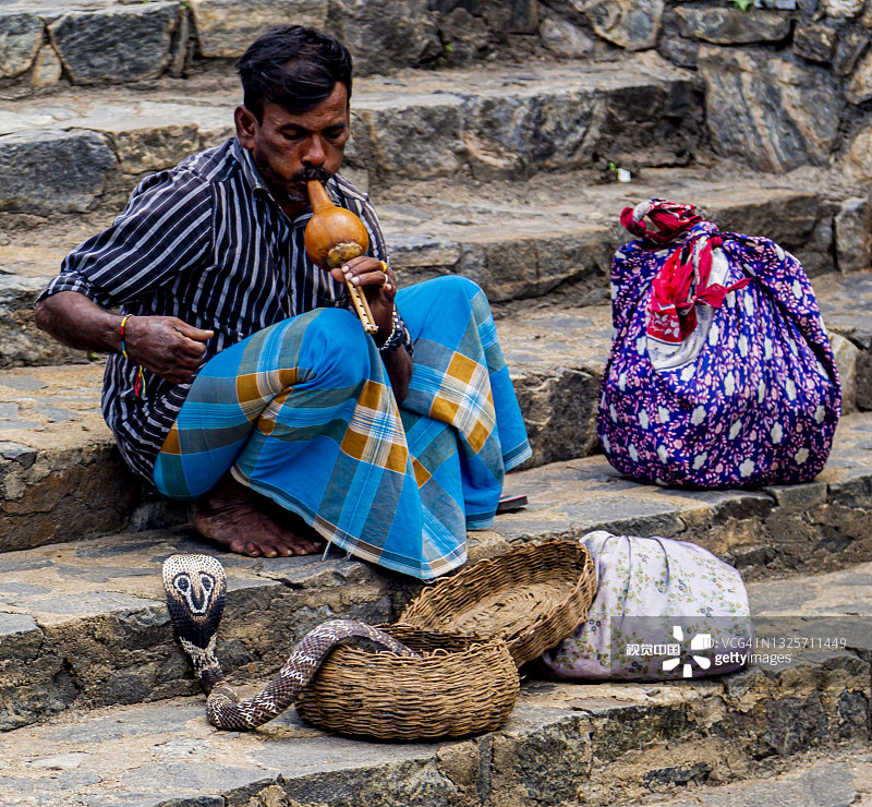 斯里兰卡科伦坡甘加拉雅寺的眼镜蛇魔术师图片素材