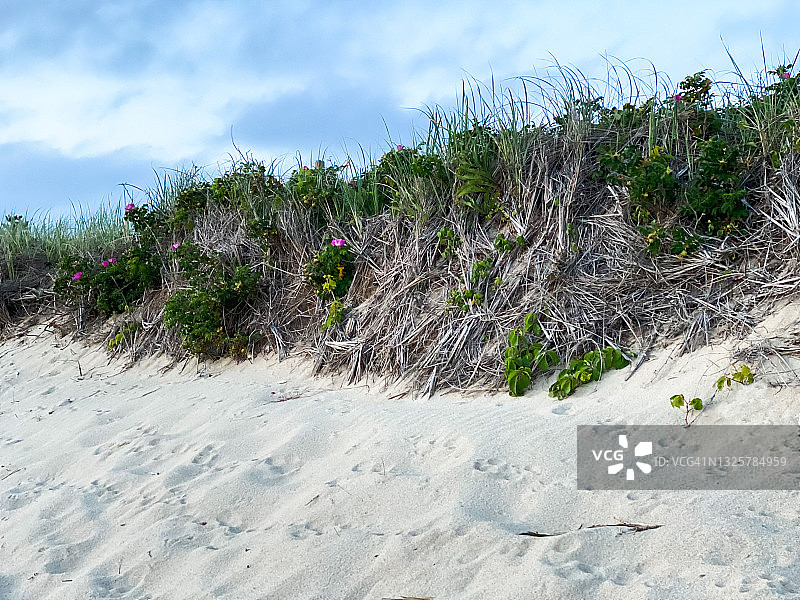 海滩上的悬崖和沙丘图片素材