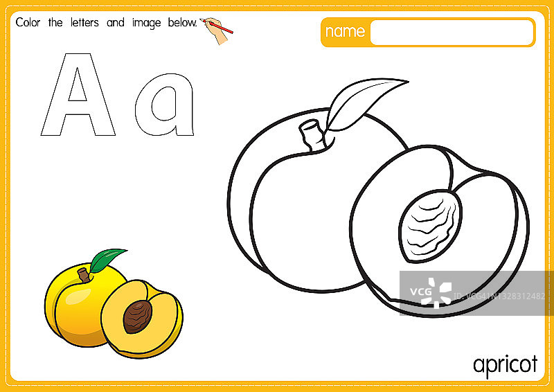 矢量插图的儿童字母着色书页与概述剪贴画，以颜色。字母A代表杏子。图片素材