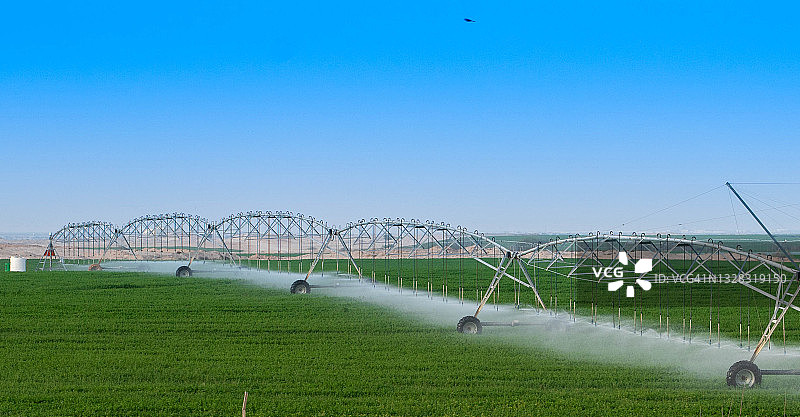 卡塔尔的草地由一个枢轴喷灌系统灌溉图片素材