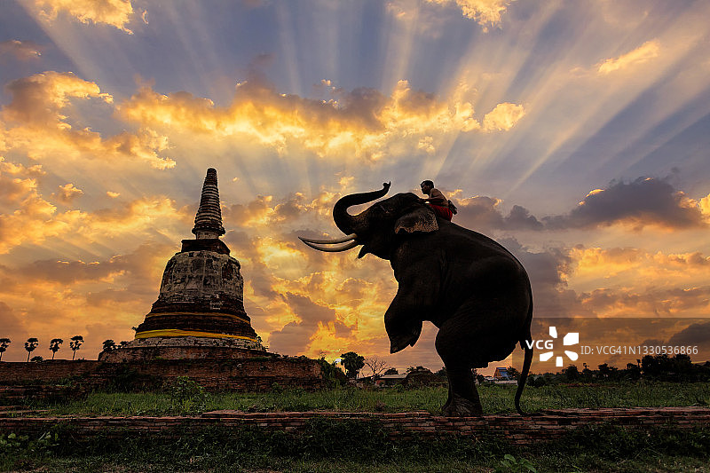泰国大城府的大象和古老的佛塔图片素材