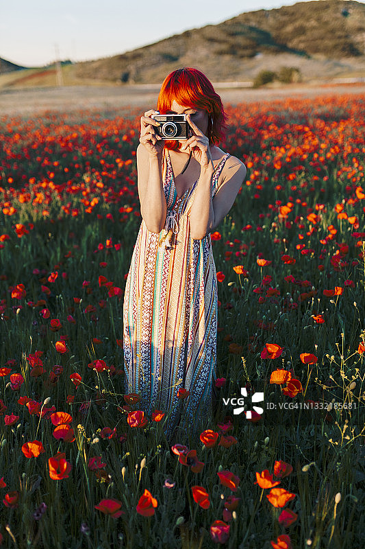 一个红发女人站在罂粟地里用相机拍照图片素材
