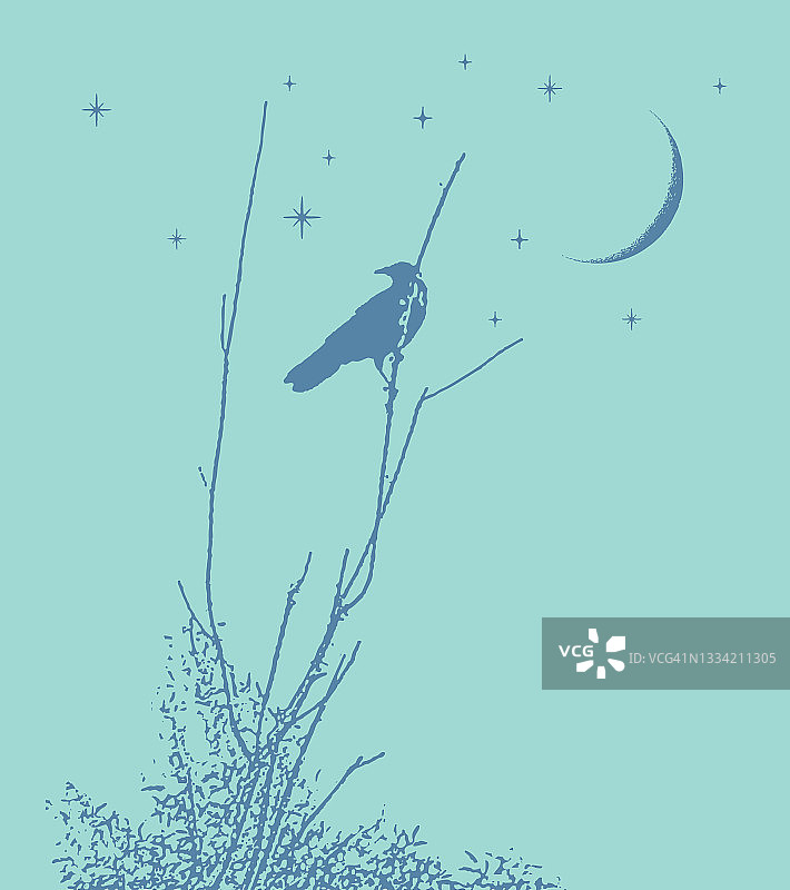 乌鸦，月亮和星星图片素材