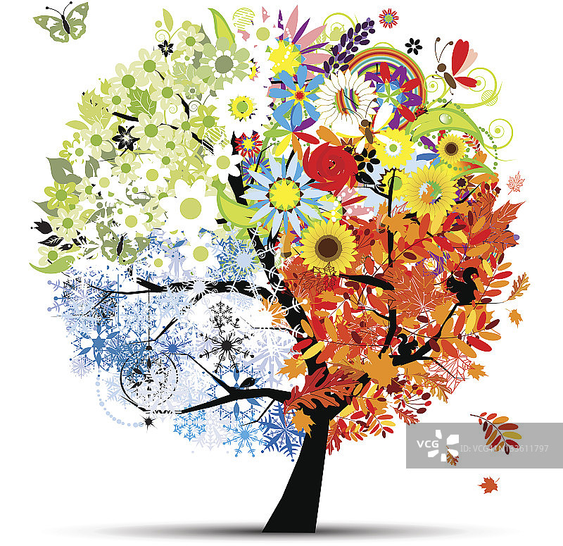 四季——春、夏、秋、冬。艺术树美丽图片素材
