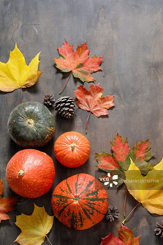 秋天情绪成分。木桌背景上有落叶和南瓜。感恩节快乐，秋天概念。平铺，俯视图，复制空间。图片素材