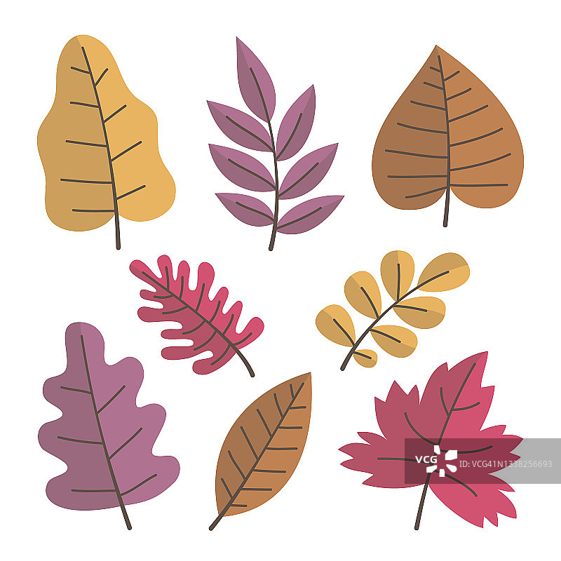 秋天的叶子设置矢量插图图片素材