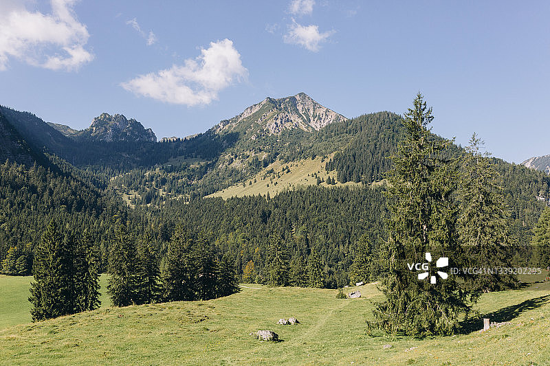 从德国阿尔卑斯山的草地上俯瞰山脉图片素材
