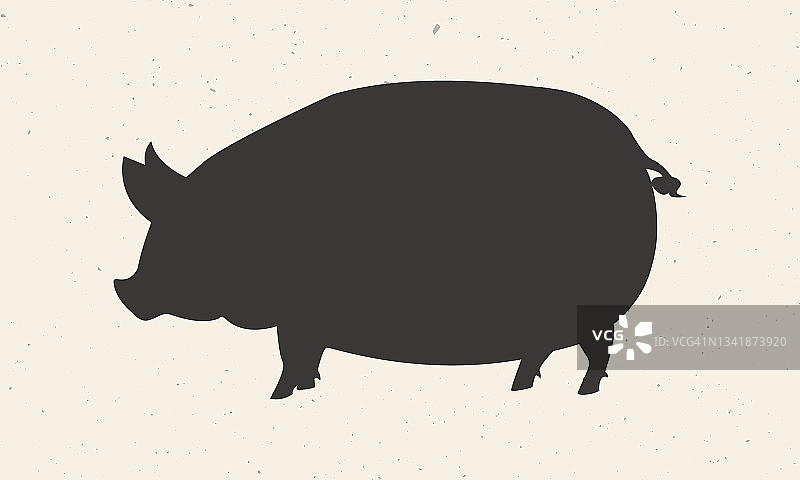 猪,猪肉图标。黑猪剪影孤立在一个轻的背景。专为徽记、徽章、海报设计的农场动物。屠宰场，肉店，杂货店。矢量图图片素材