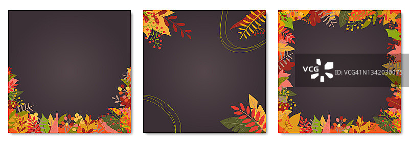 秋天或秋天的背景设置五颜六色的叶子。方形横幅或叶框架或边框模板传单，销售，感恩节海报，促销卡，社交媒体帖子。矢量插图。图片素材