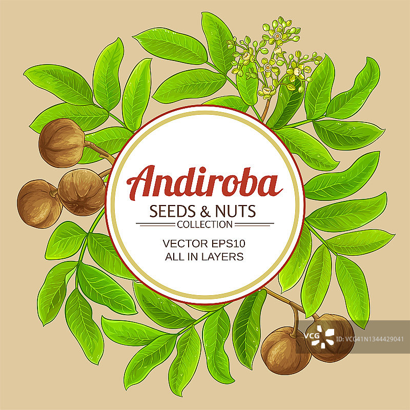 Andiroba矢量框架上的颜色背景图片素材