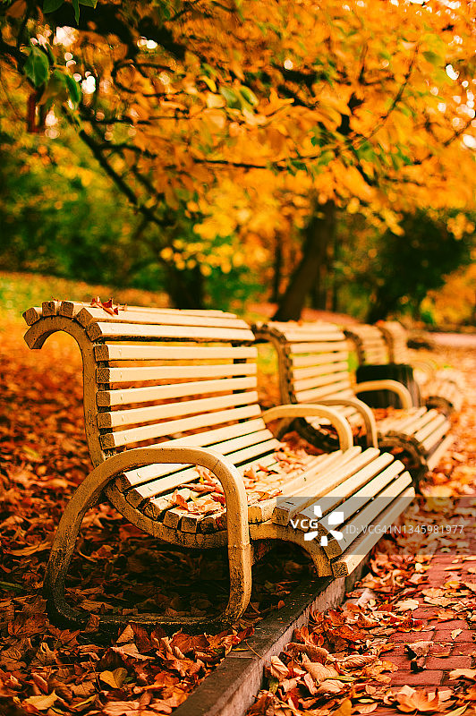 秋天风景公园里的秋叶长椅图片素材