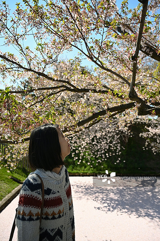 站在樱花树下的年轻女子。图片素材