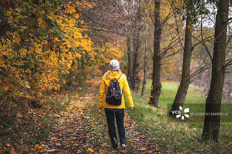 秋天徒步旅行。女游客在大自然中漫步图片素材