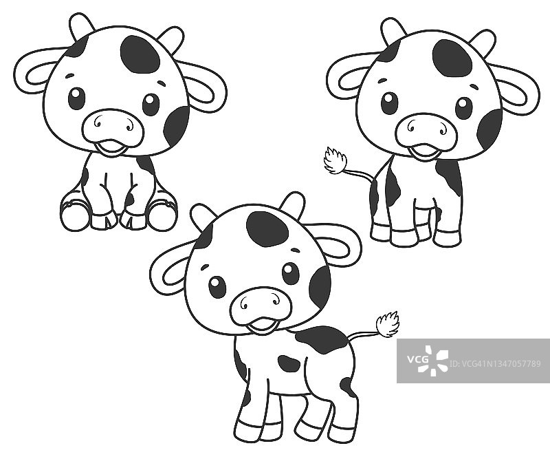 一群可爱的卡通奶牛。黑色和白色的矢量插图的着色书。轮廓图。图片素材