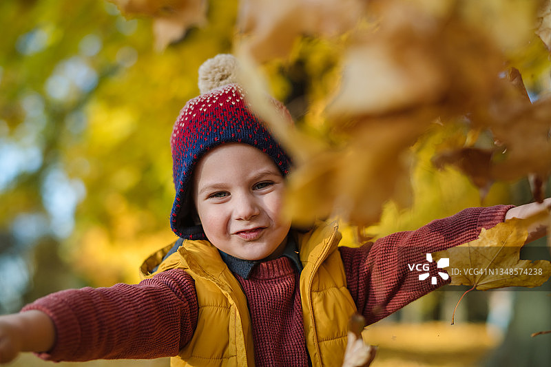 小男孩在公园里享受晴朗的秋日图片素材