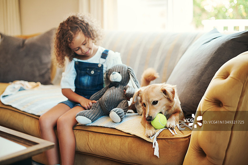 一个可爱的年轻女孩坐在家里的沙发上，和她的狗狗亲密无间图片素材