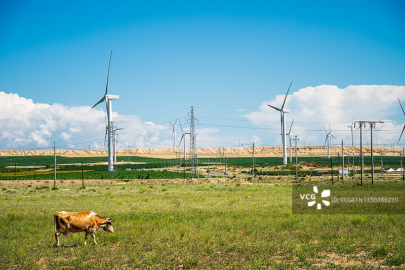 草原，牧场，远处的风力发电机。中国新疆维吾尔自治区。图片素材