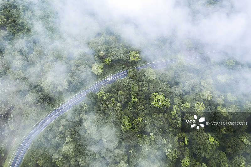 鸟瞰弯曲的乡村道路与绿色的夏天雾森林在早晨在泰国。图片素材