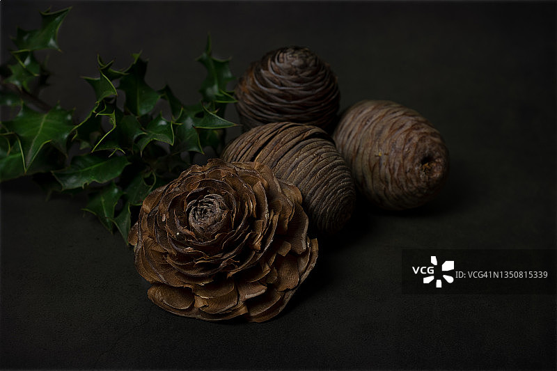 黑色背景下的霍尔木橡树枝和玫瑰松果。前视图和复制空间图片素材