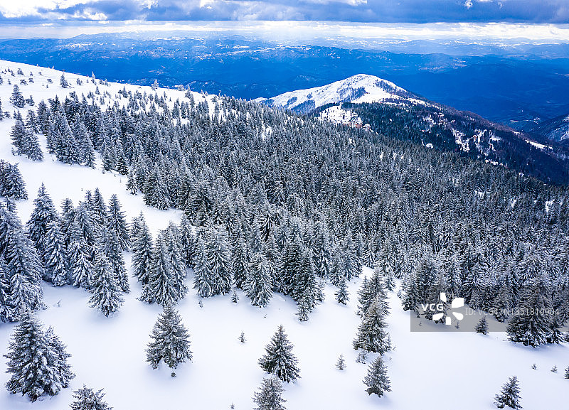塞尔维亚Kopaonik滑雪场全景图。科帕尼克国家公园，冬季景观在山间，针叶林覆盖着积雪图片素材