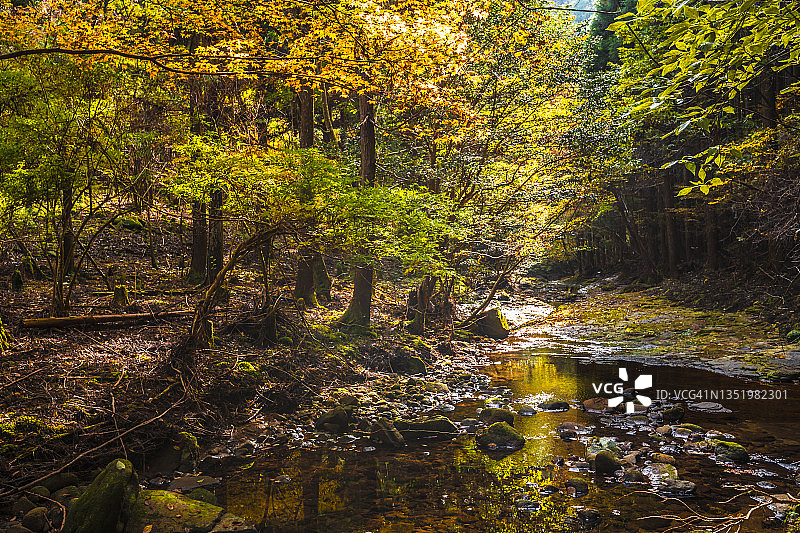 中山的风景与美丽的秋天森林倒映在山涧的表面图片素材