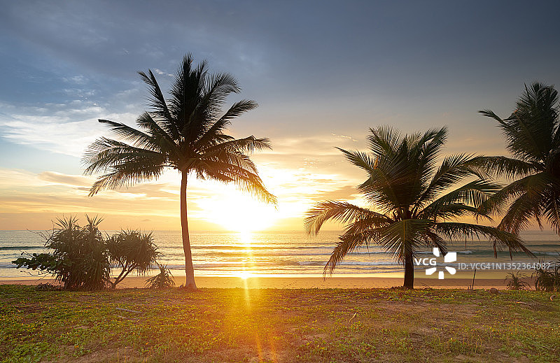 日落时分椰子树的海景图片素材