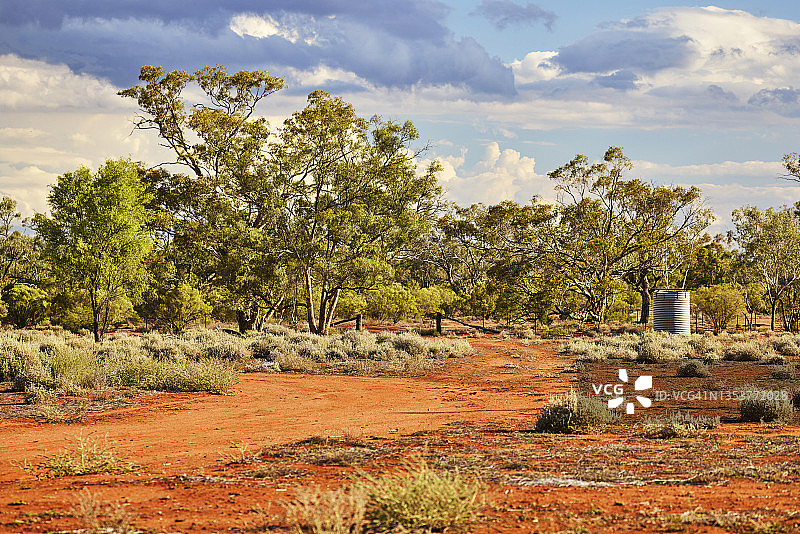 澳大利亚内陆乡村的雨云和树木图片素材