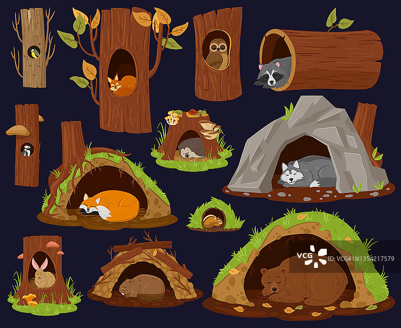 卡通林地动物睡觉在洞穴，空心，巢。森林动物休息或冬眠，可爱的浣熊，狐狸和海狸矢量插图集。木头动物的房子图片素材