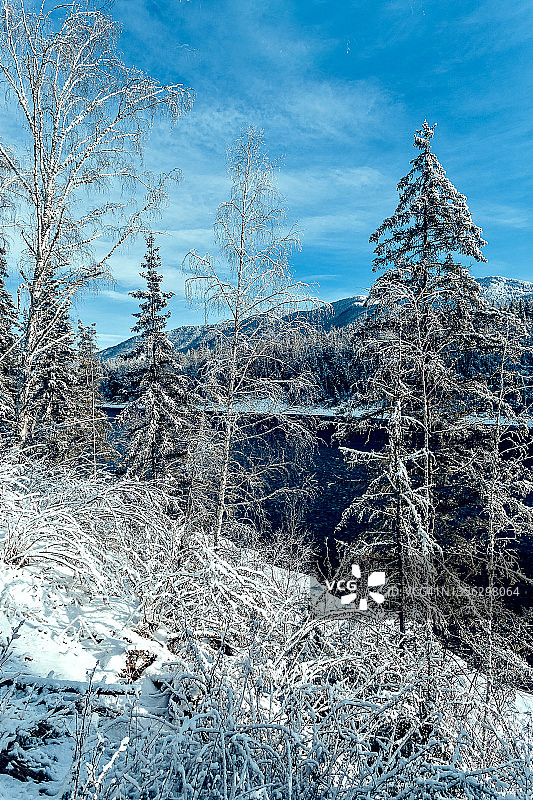 卡顿河与白雪覆盖的冷杉森林，冬季，西伯利亚，阿尔泰，俄罗斯。暂时的旅行图片素材