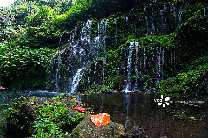 热带雨林中的瀑布图片素材