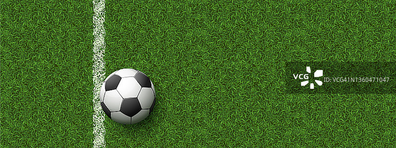 草地上的足球图片素材