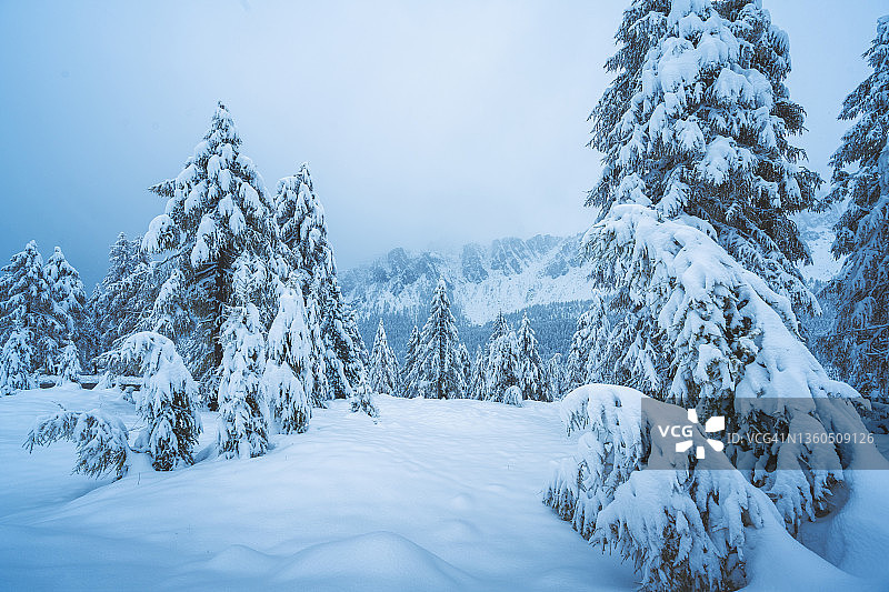 山冬天的风景图片素材