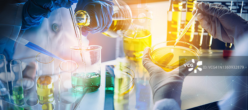 实验设备和科学实验，科学家在实验室用试管进行灌油制黄研究。图片素材